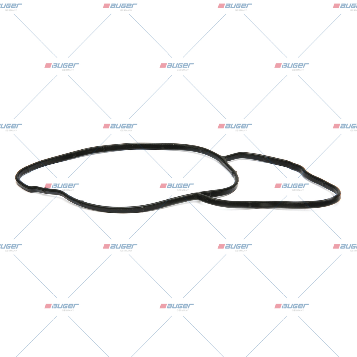 Dichtung, Wasserpumpe