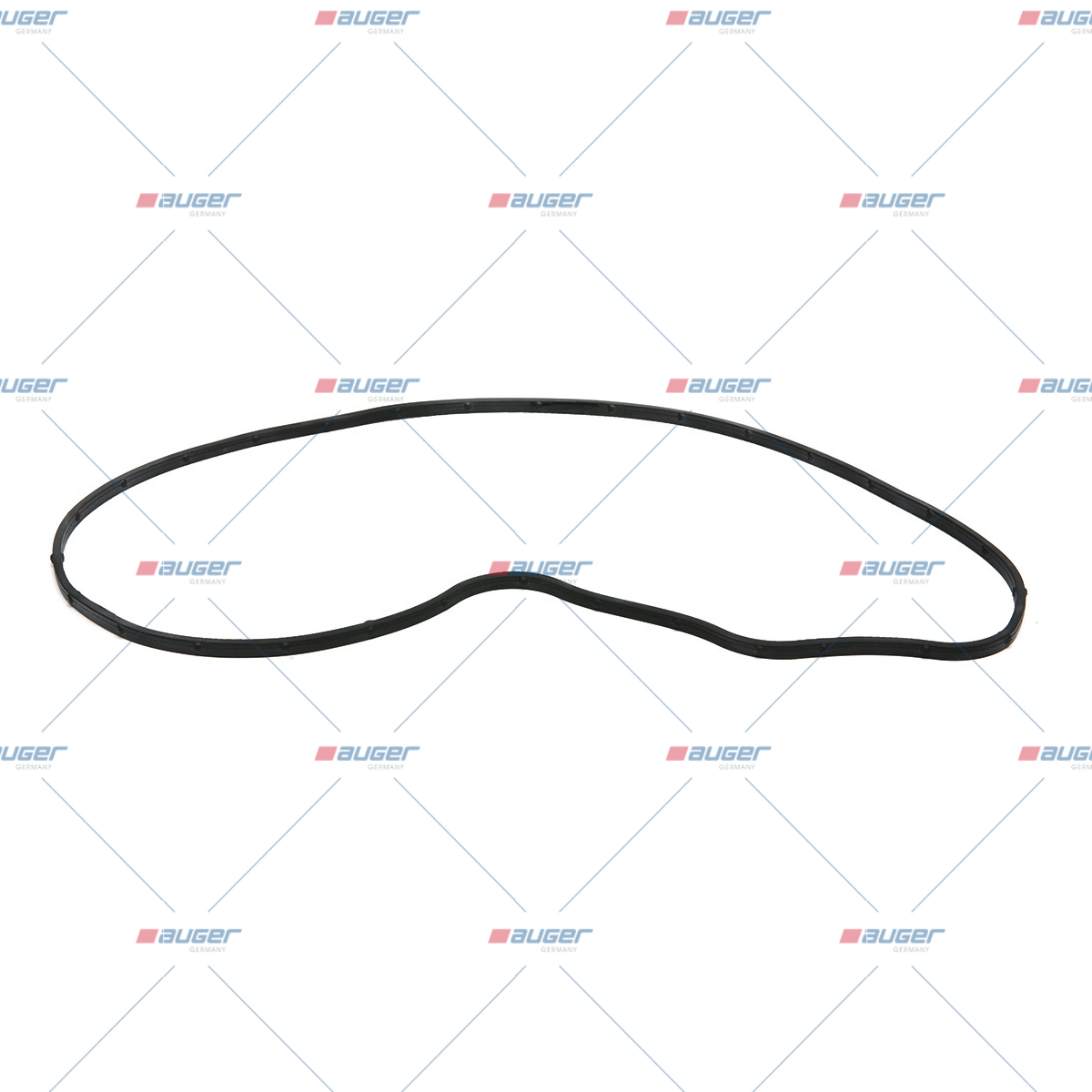 Dichtung, Wasserpumpe