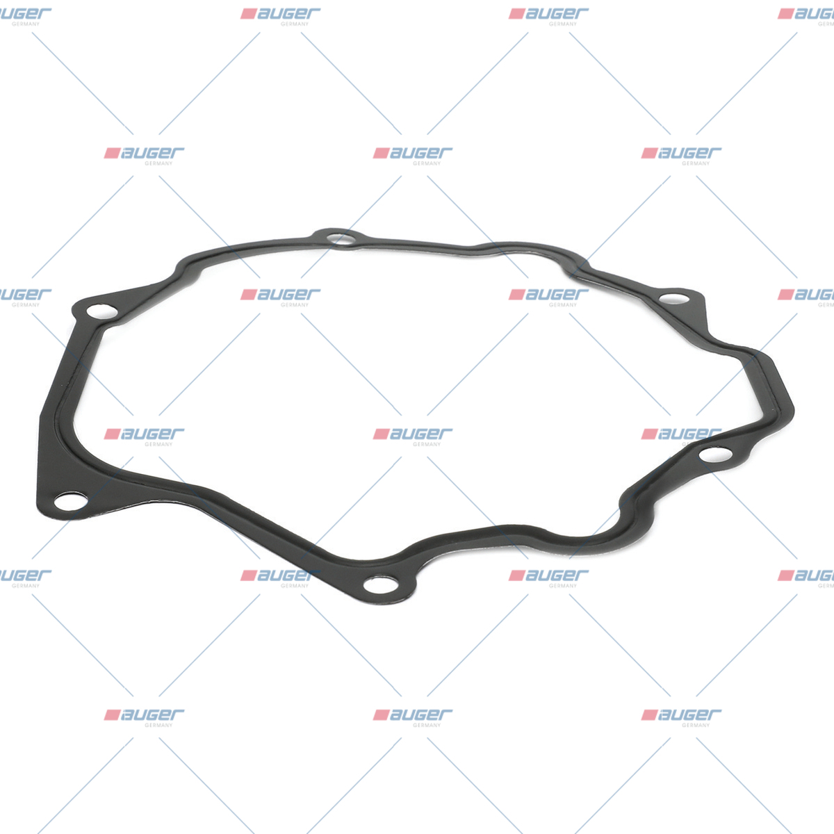 Dichtung, Wasserpumpe