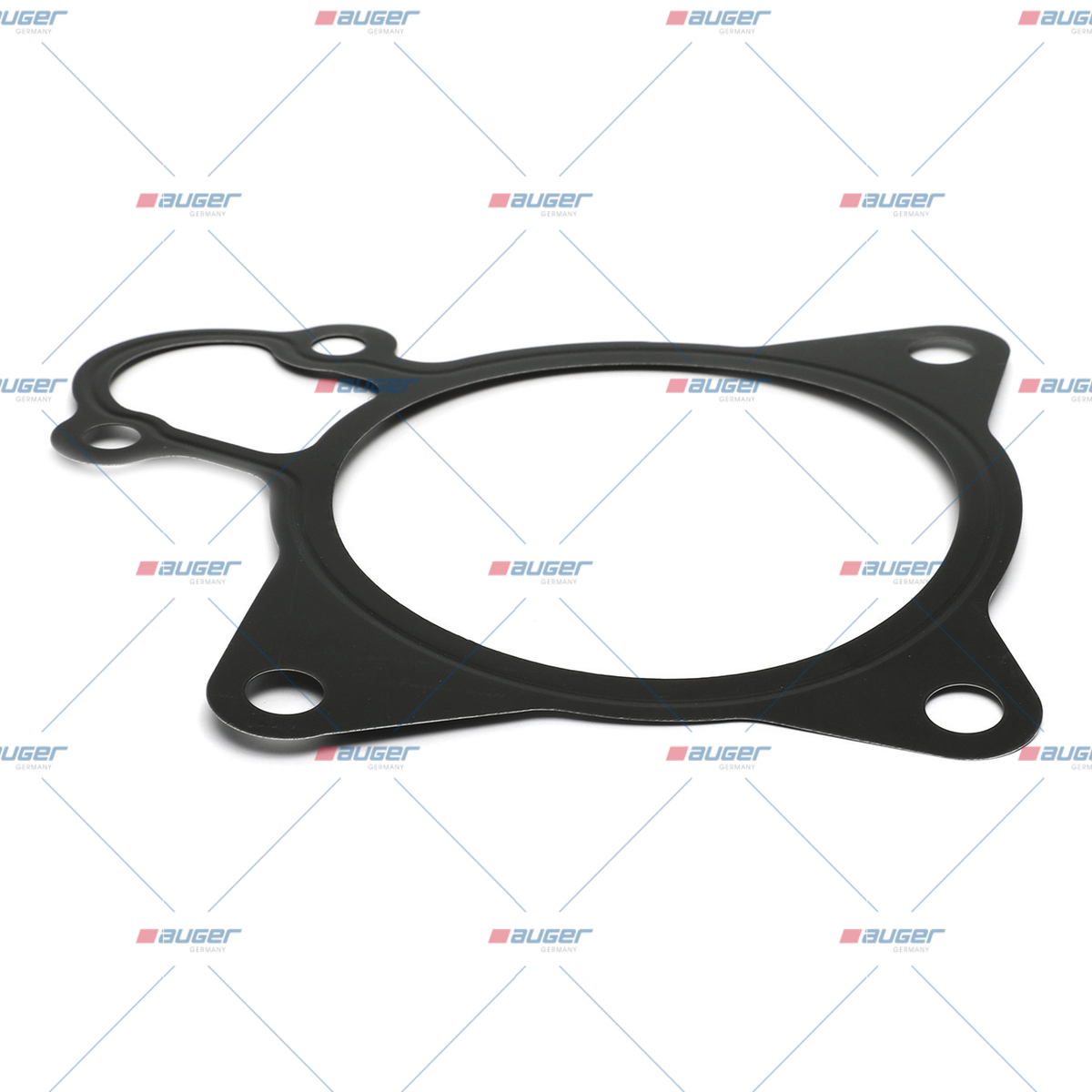 Dichtung, Wasserpumpe