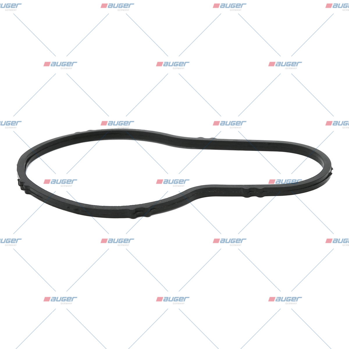 Dichtung, Thermostat