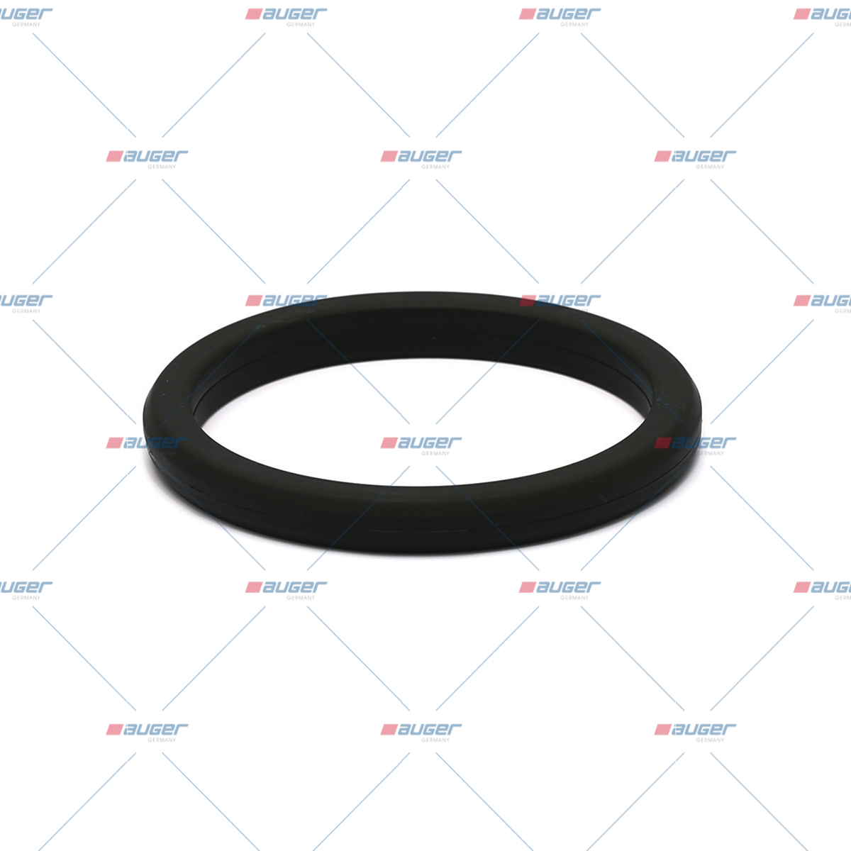 Dichtring, Wasserpumpe