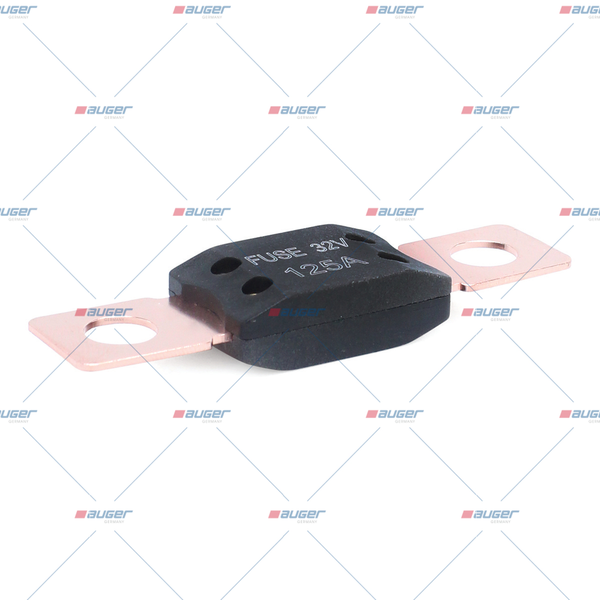 Sicherung, Zentral-Elektrikeinheit