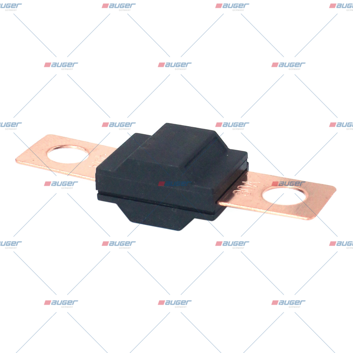 Sicherung, Zentral-Elektrikeinheit