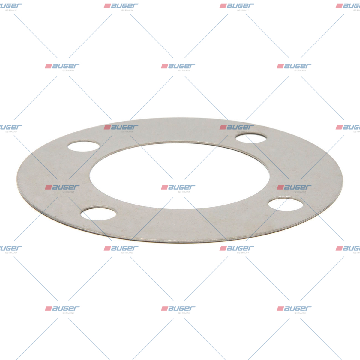 Scheibe, Einspritzpumpe