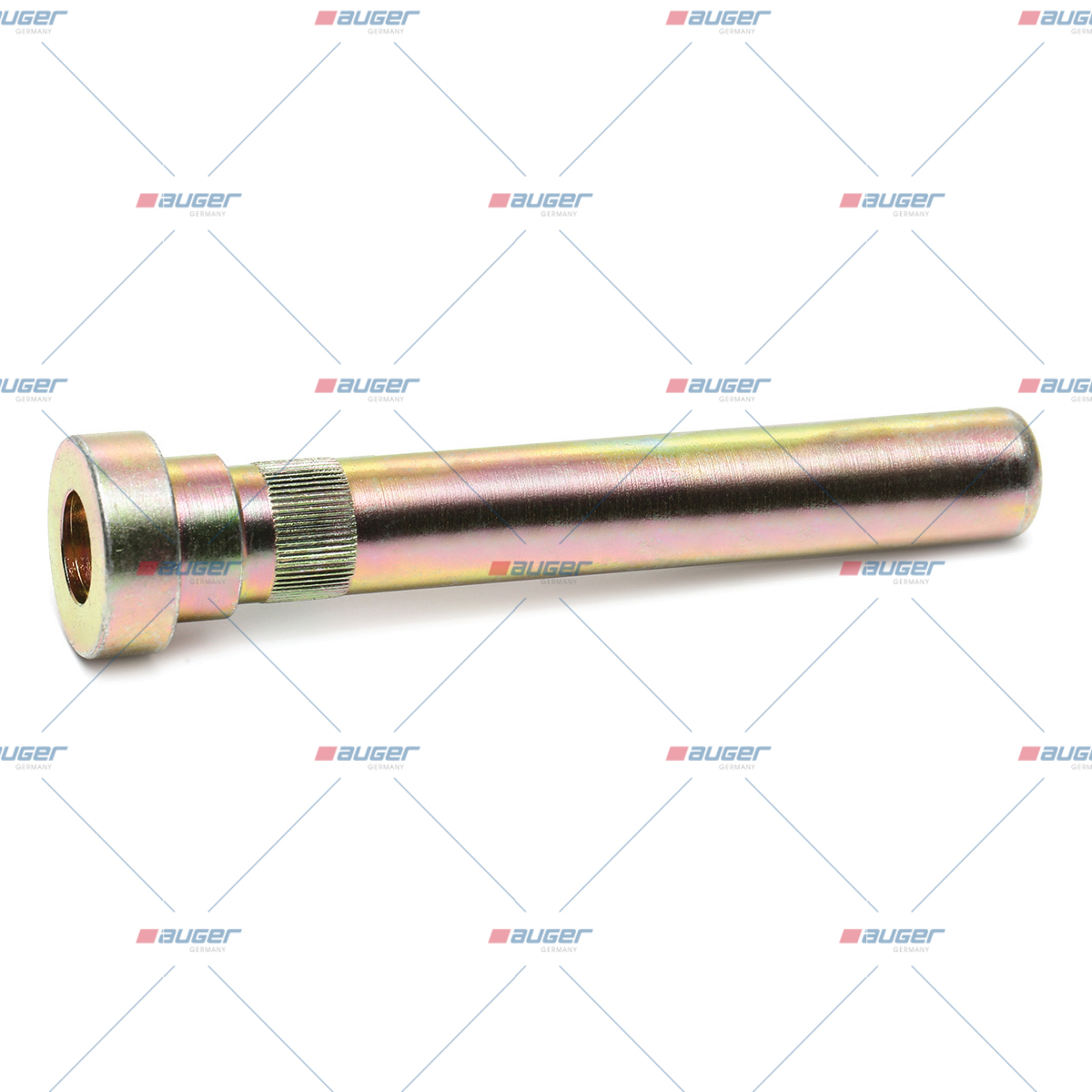 Scharnierstift, Tuer