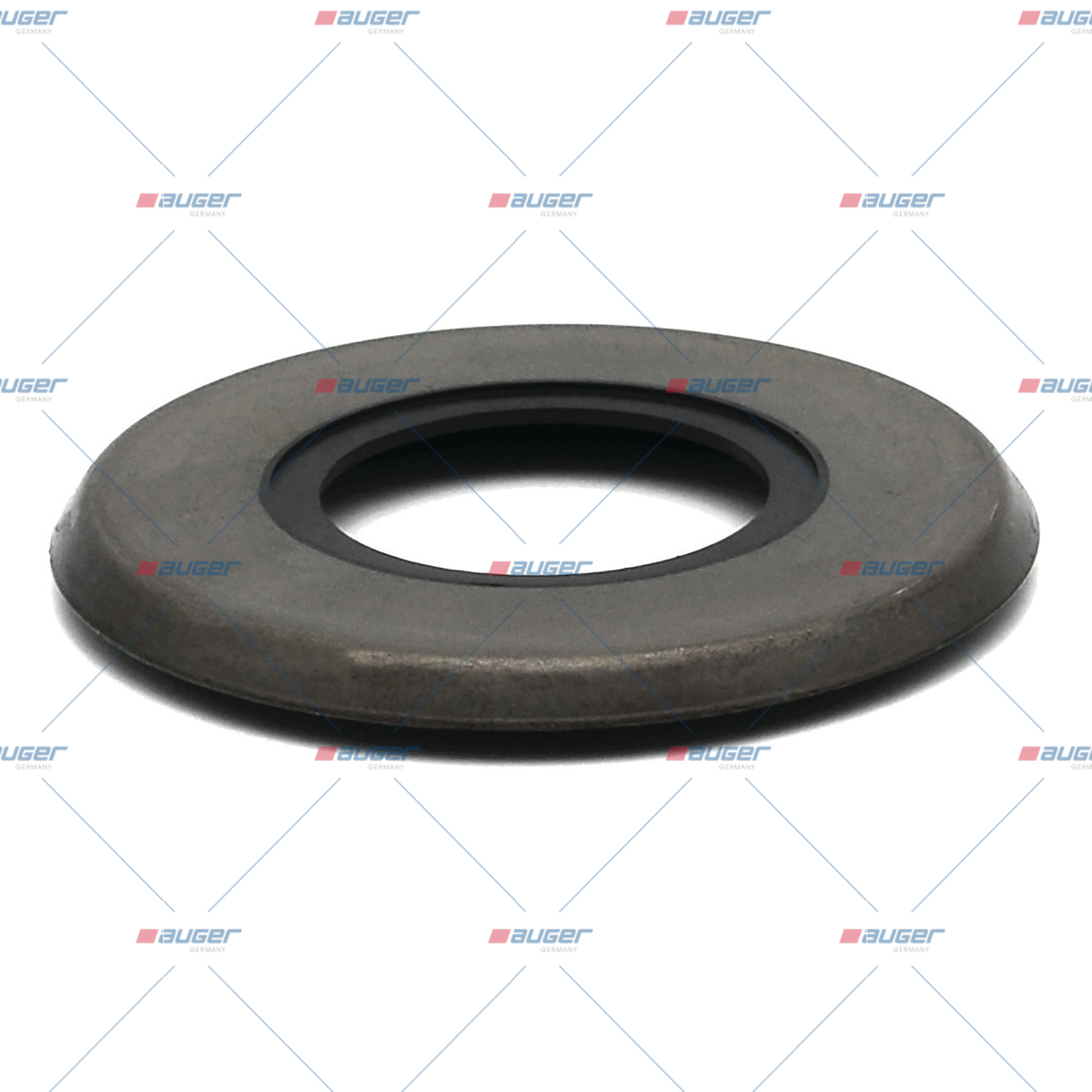 Dichtring, Bremszylinder