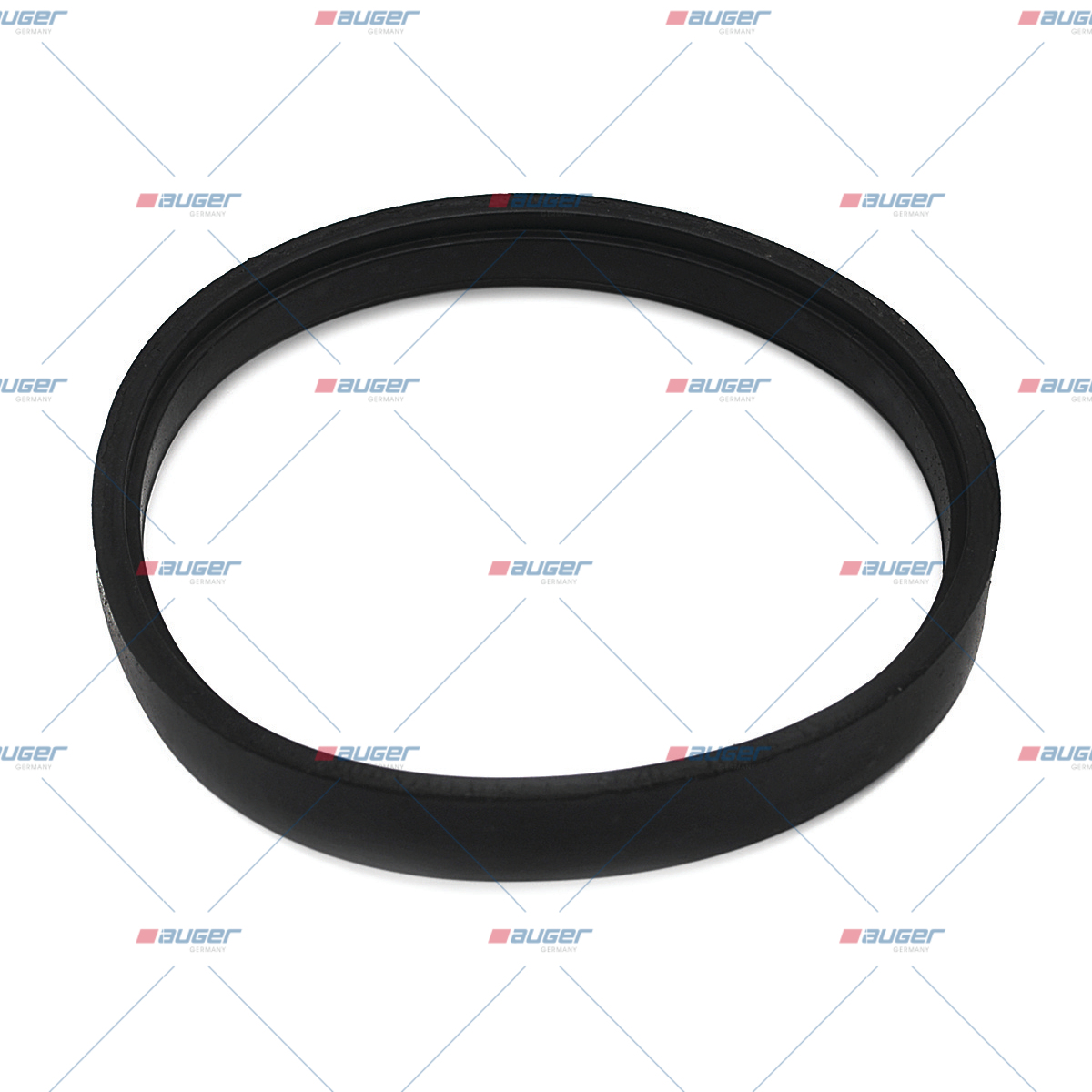 Dichtung, Einspritzpumpe