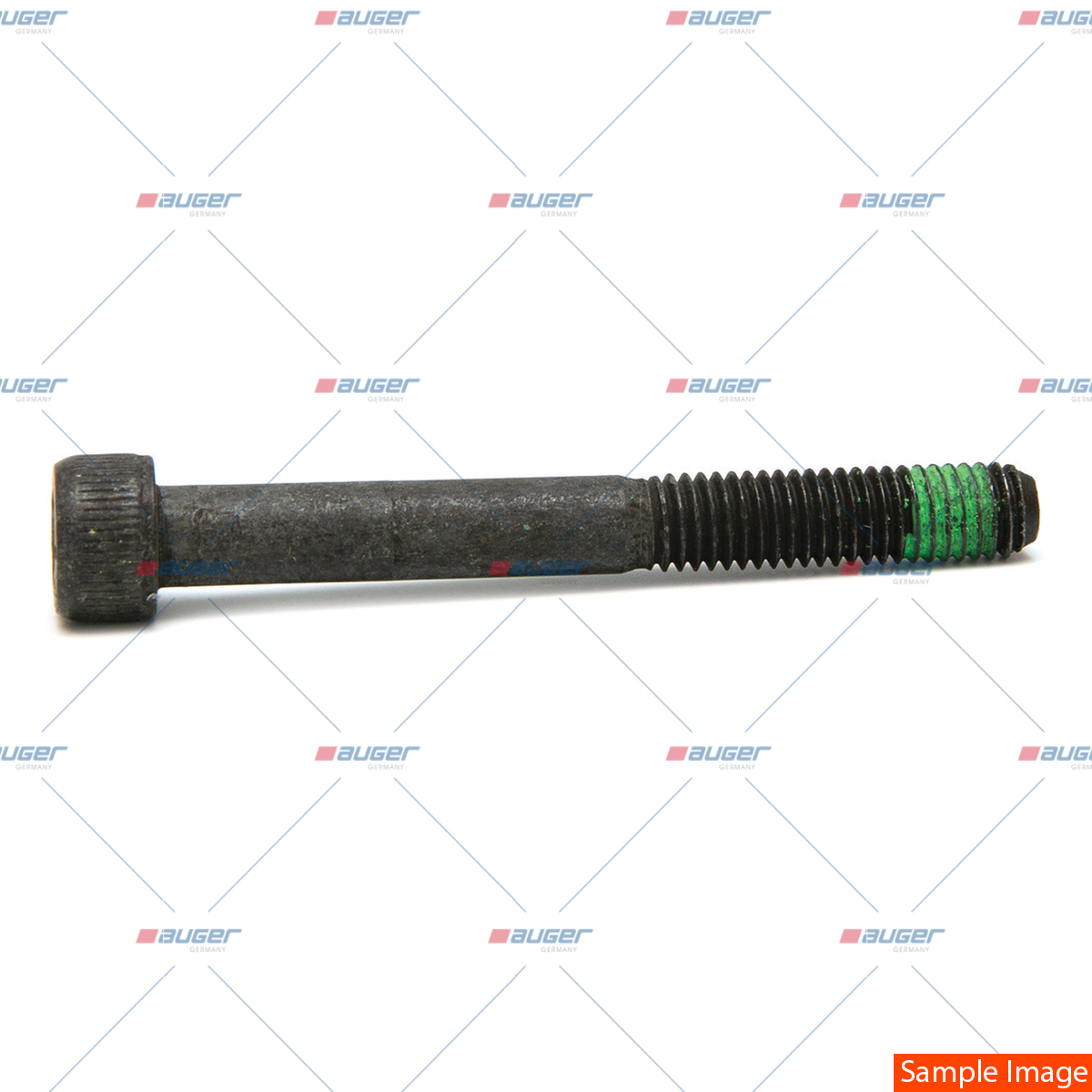 Schraube, Bremssattel