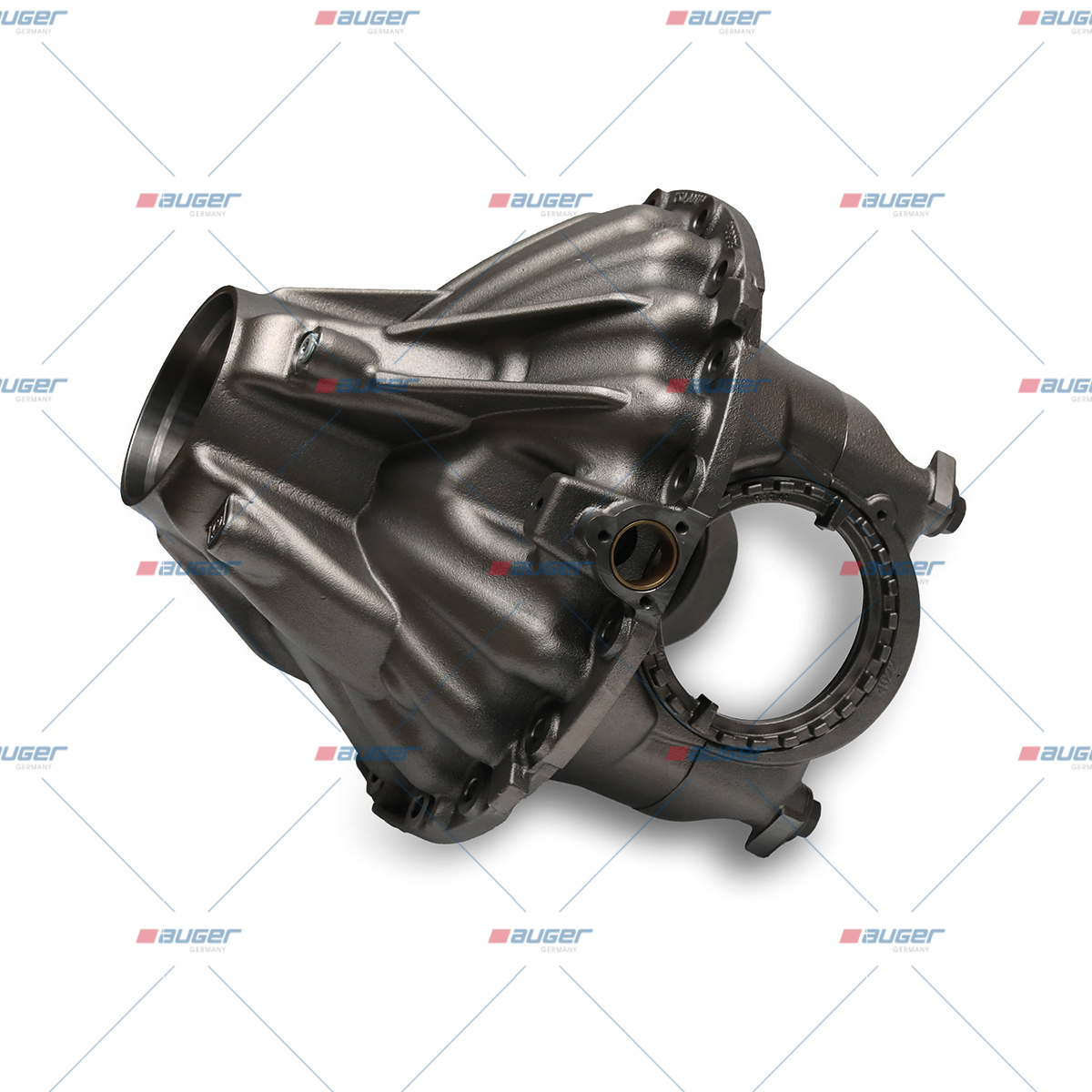 Lagergehaeuse, Differentialgehaeuse