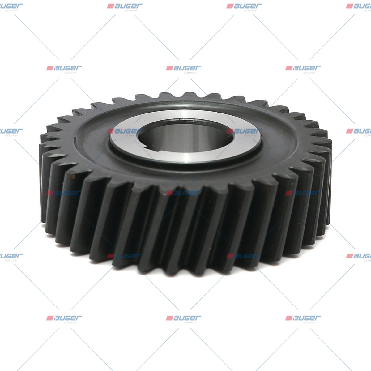 Zahnrad, Wasserpumpe