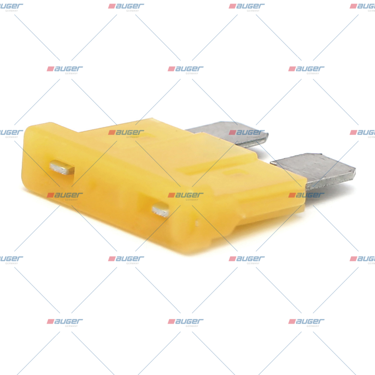 Sicherung, Zentral-Elektrikeinheit