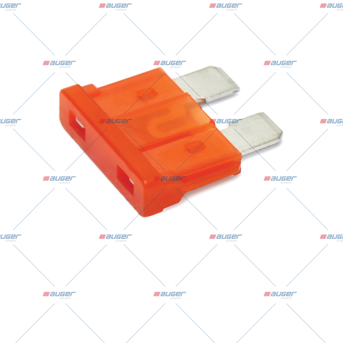Sicherung, Zentral-Elektrikeinheit