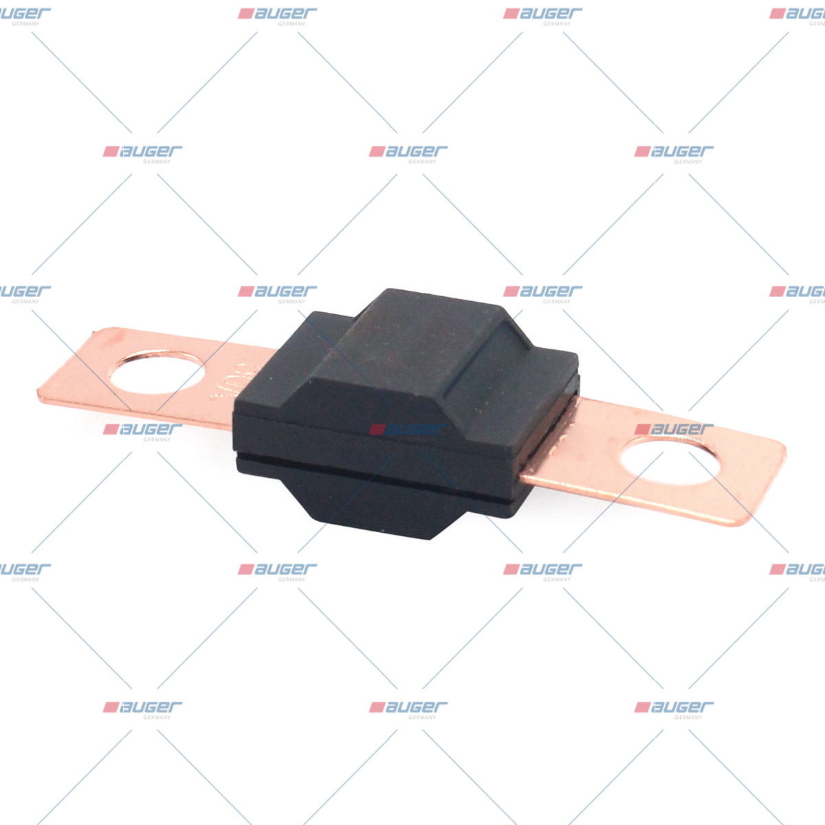 Sicherung, Zentral-Elektrikeinheit