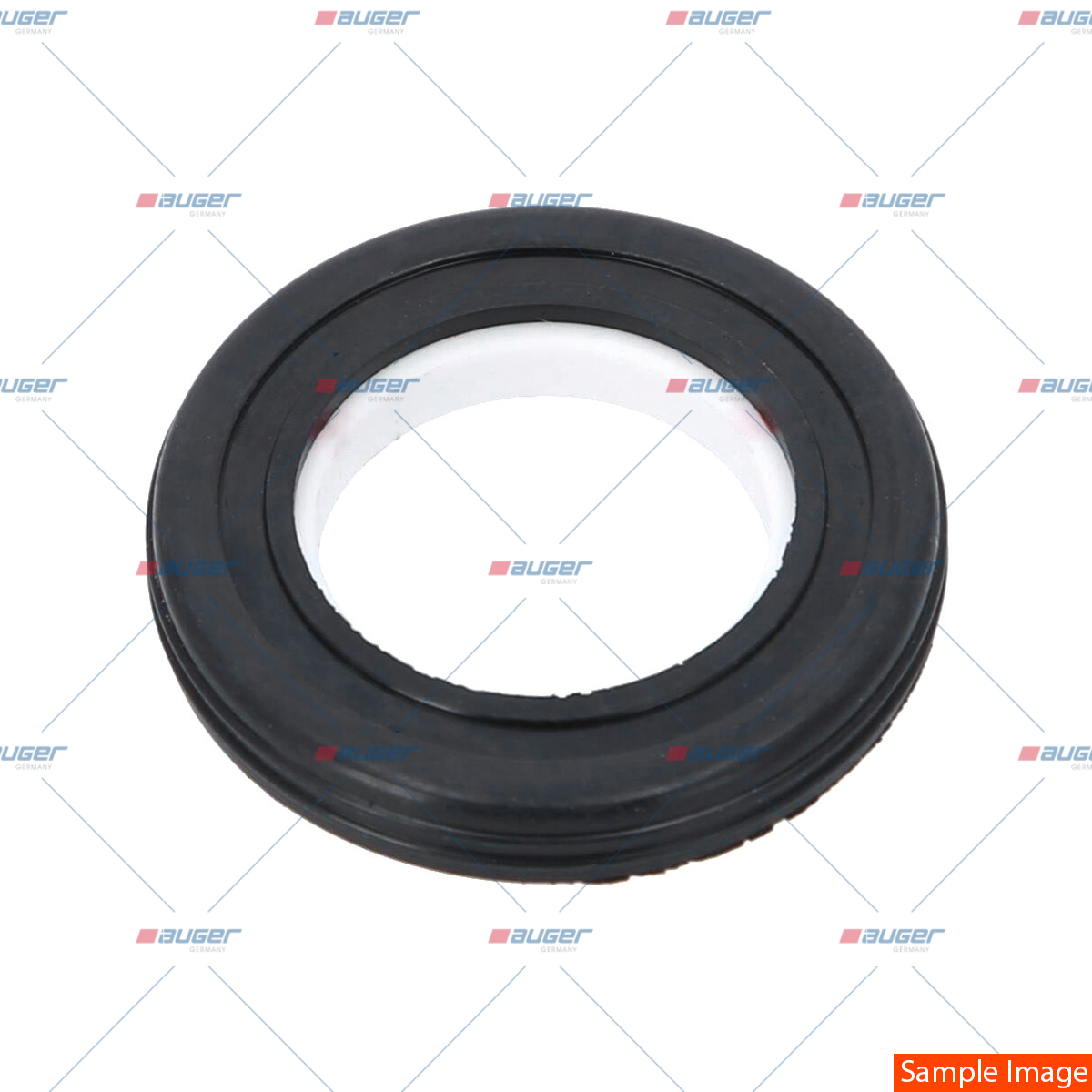 Dichtring, Wasserpumpe