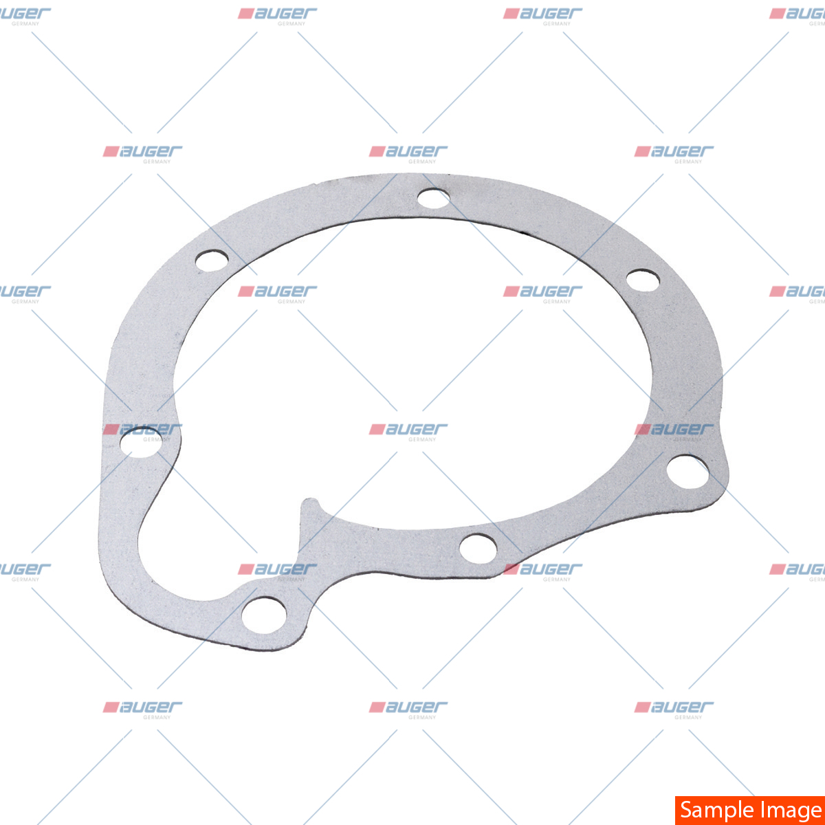 Dichtung, Wasserpumpe