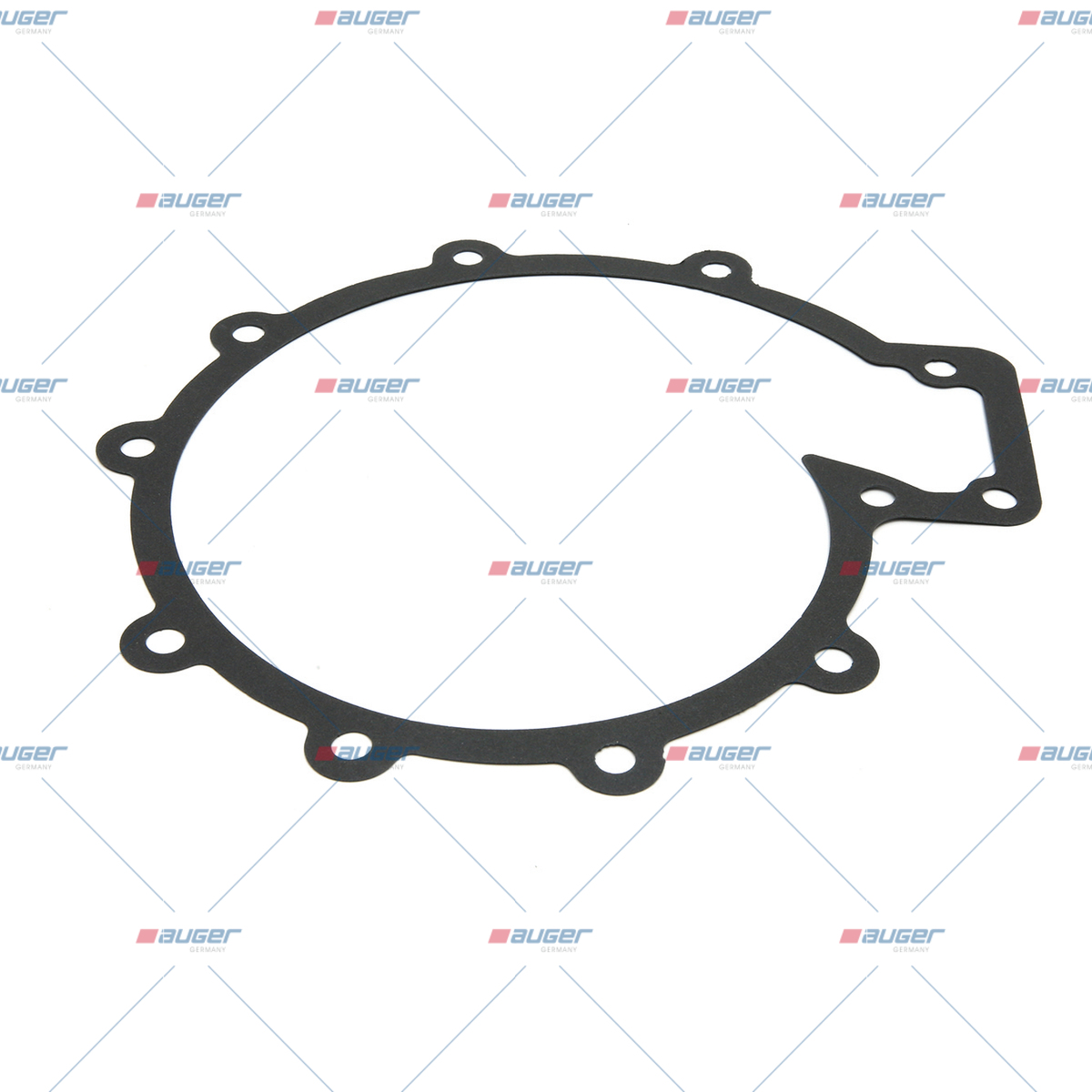 Dichtung, Wasserpumpe