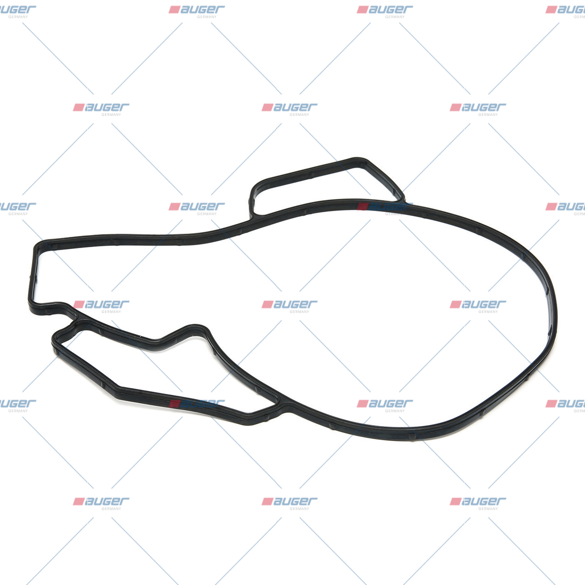 Dichtung, Wasserpumpe