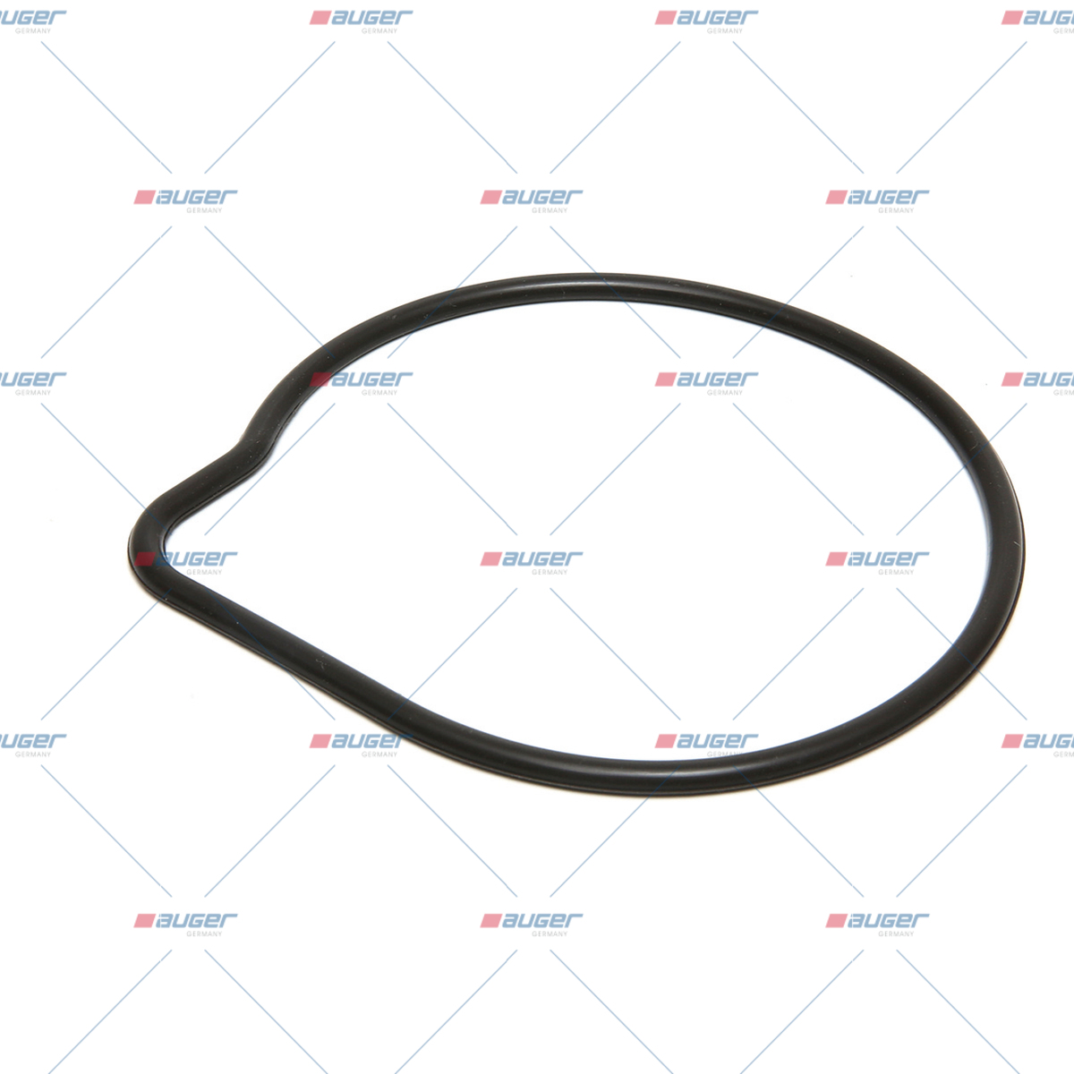 Dichtung, Wasserpumpe