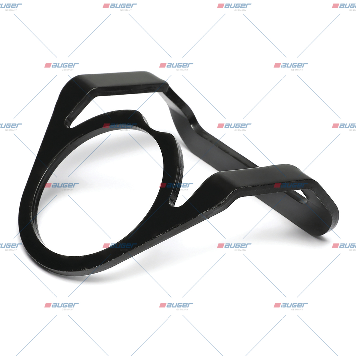 Halter, Feder