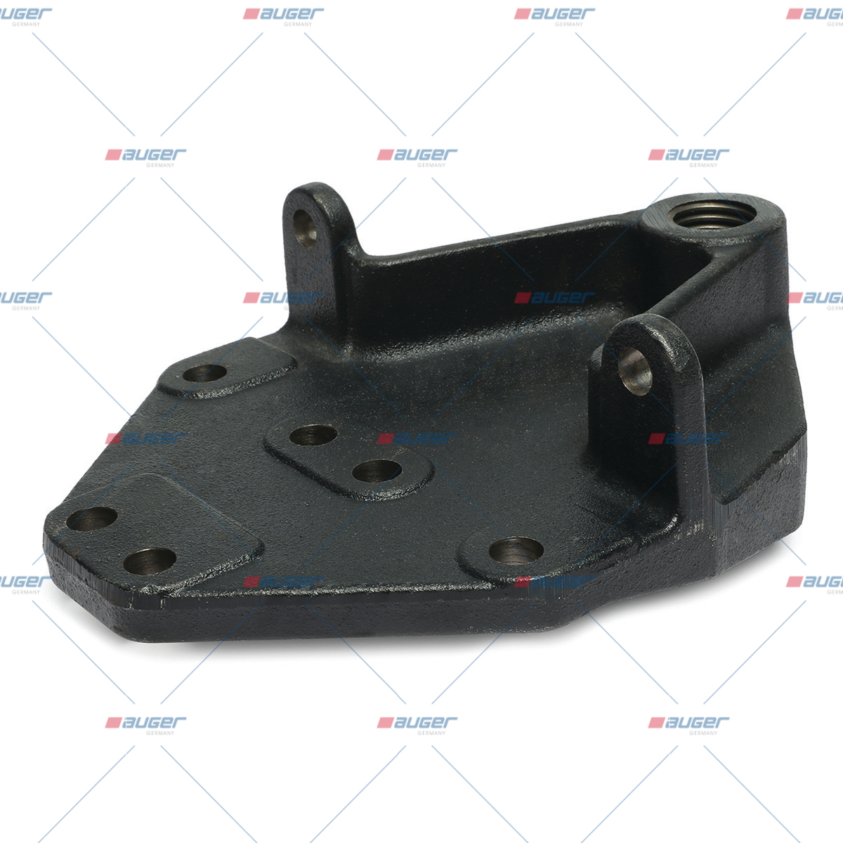 Halter, Feder