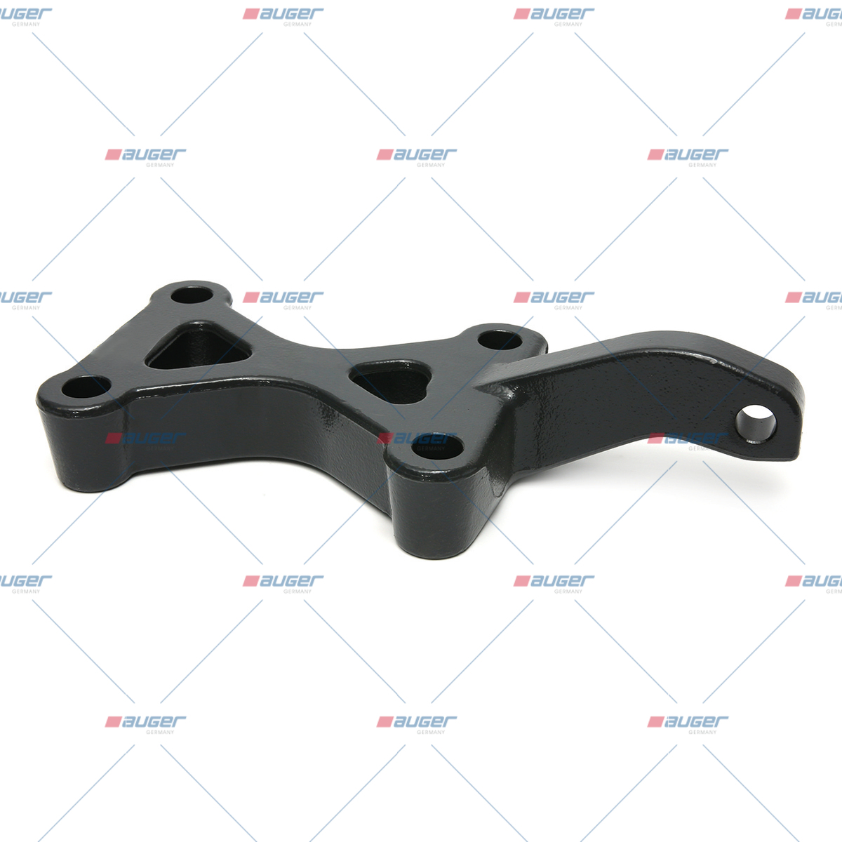 Halter, Feder
