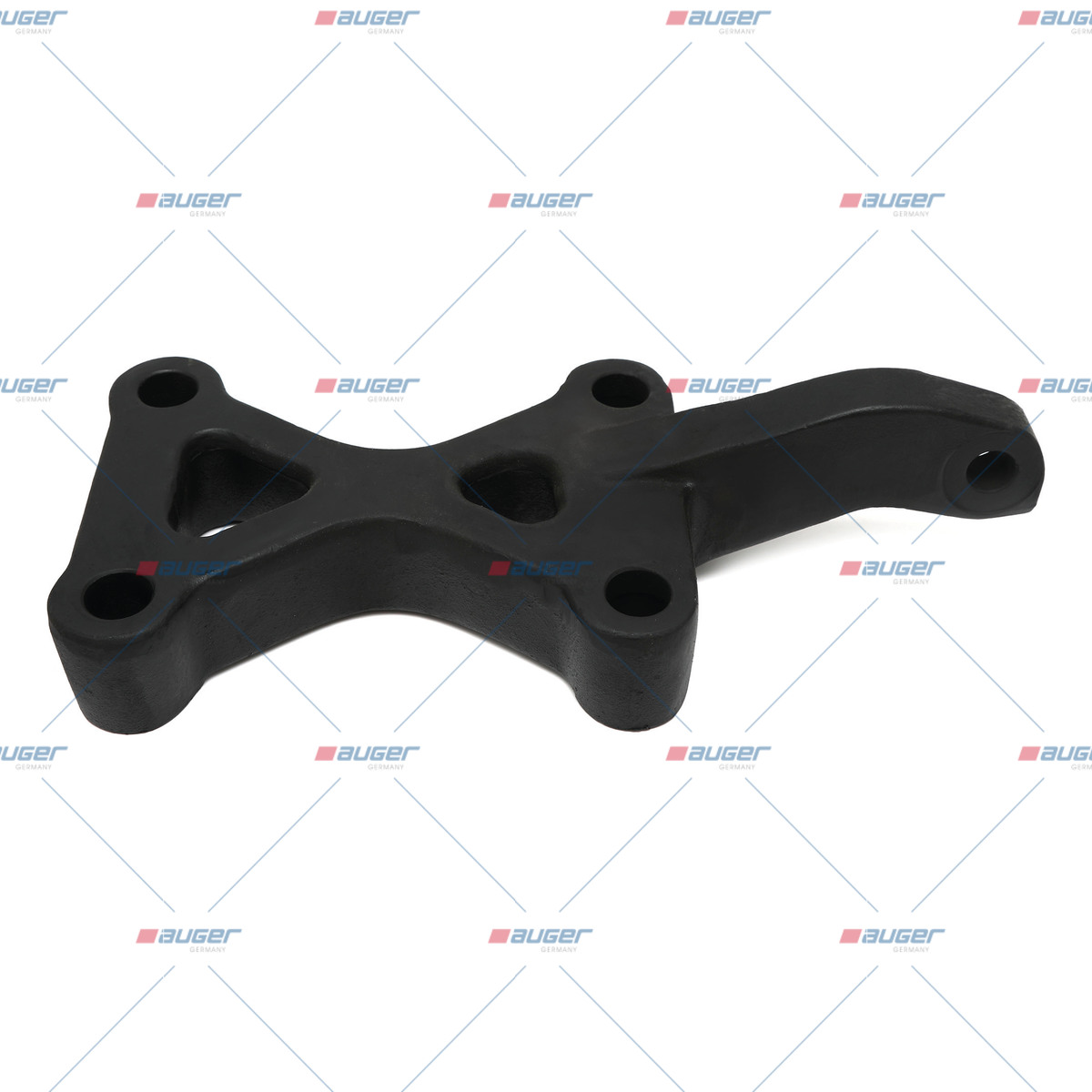 Halter, Feder