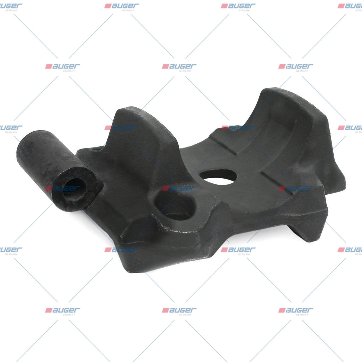 Halter, Feder