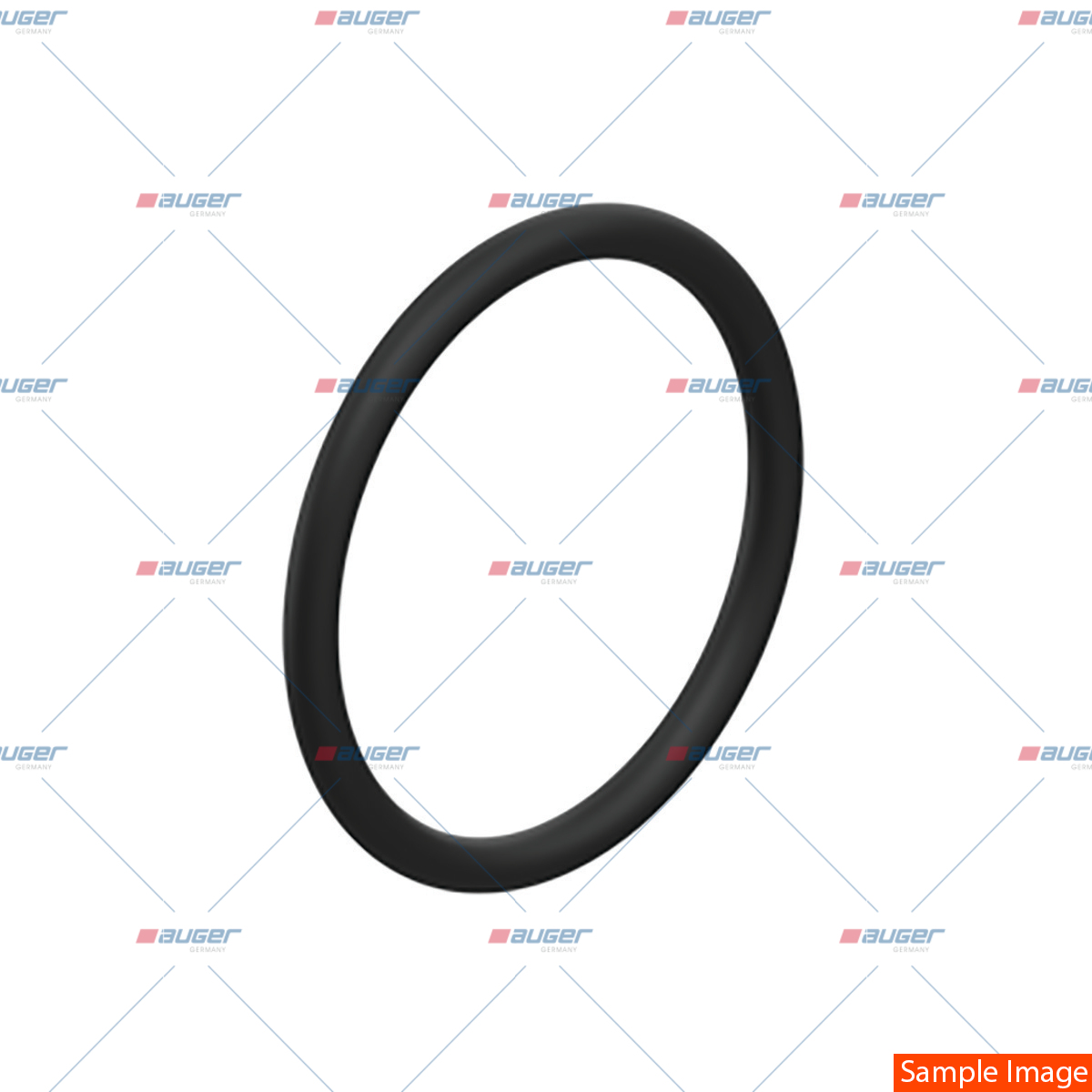 O-Ring
