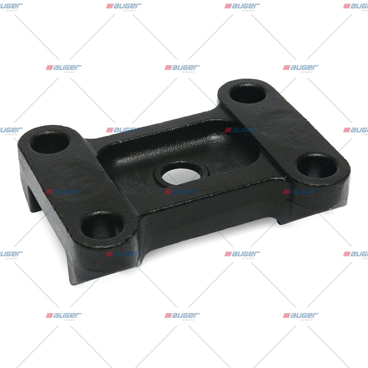 Halter, Feder