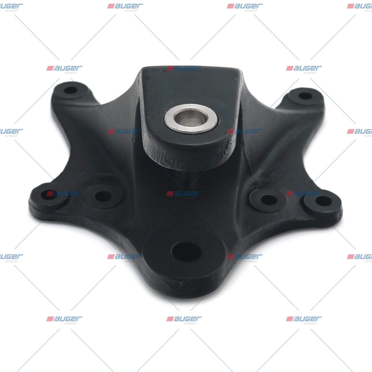 Halter, Feder