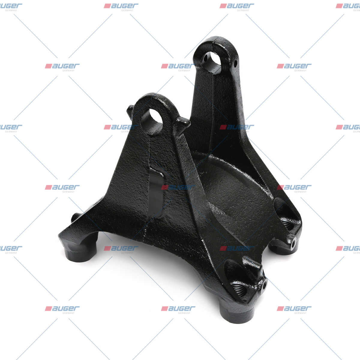 Halter, Feder