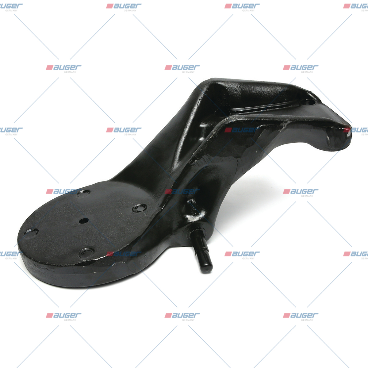 Halter, Feder