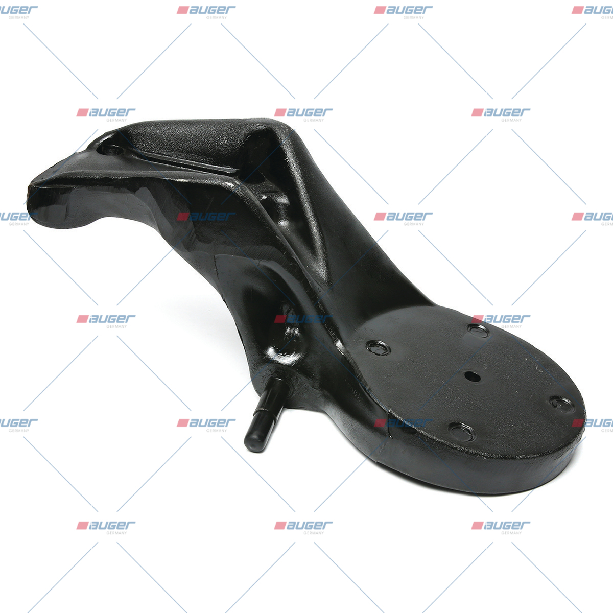 Halter, Feder