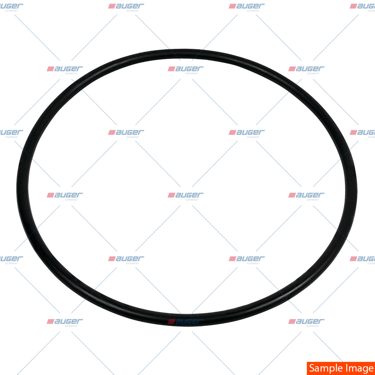 O-Ring