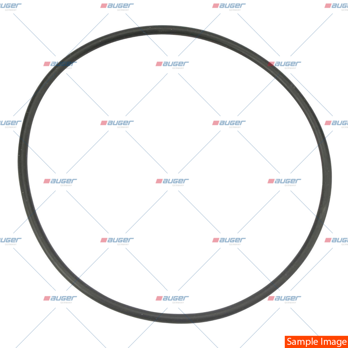 O-Ring