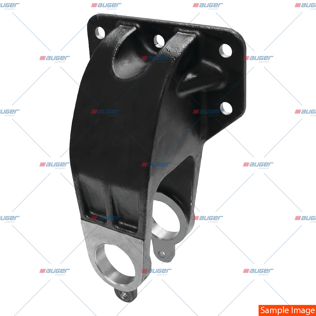 Halter, Feder