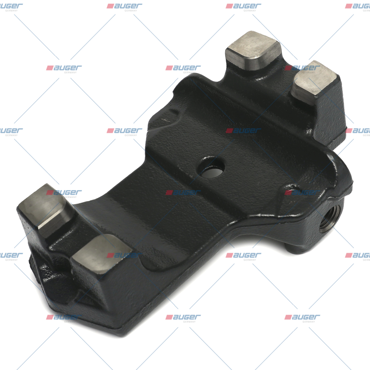 Halter, Feder