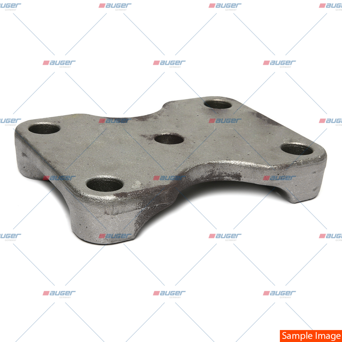 Halter, Feder