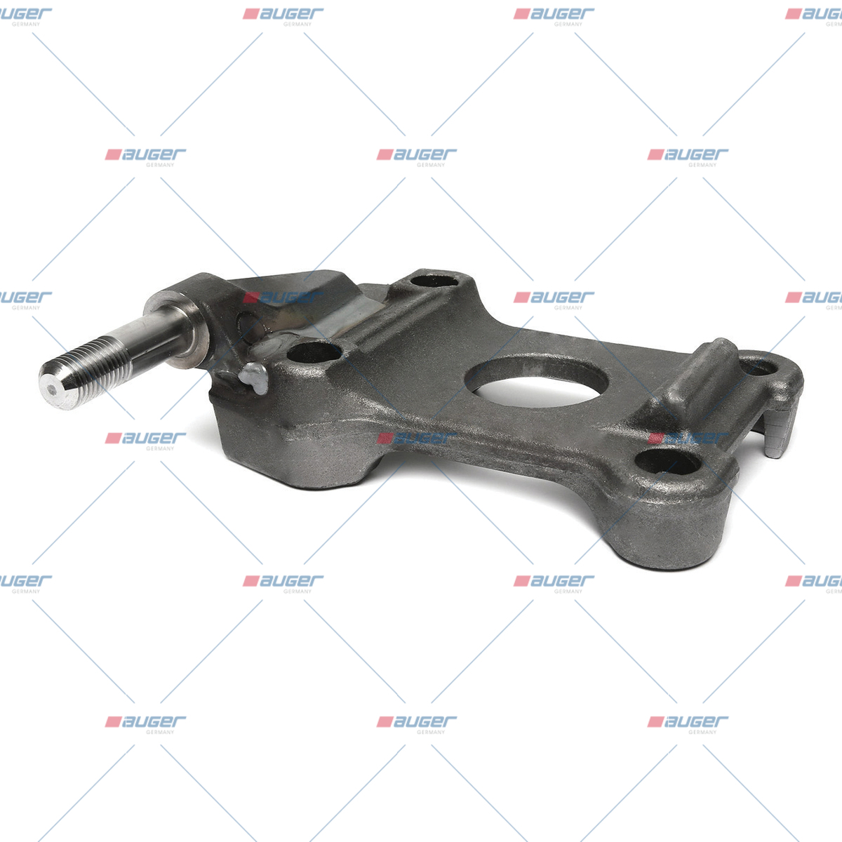 Halter, Feder