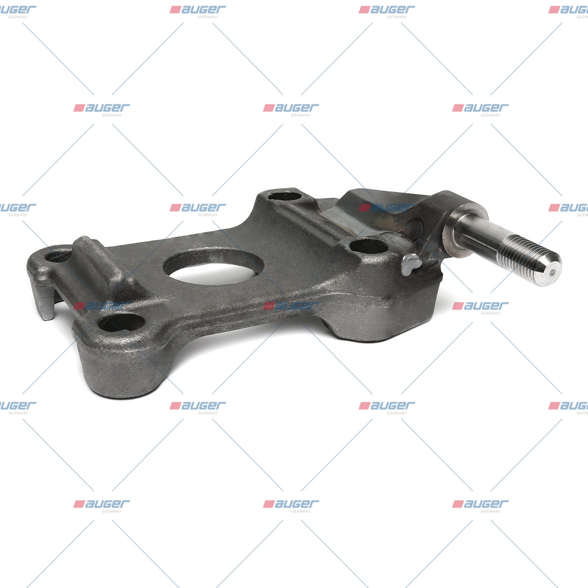 Halter, Feder