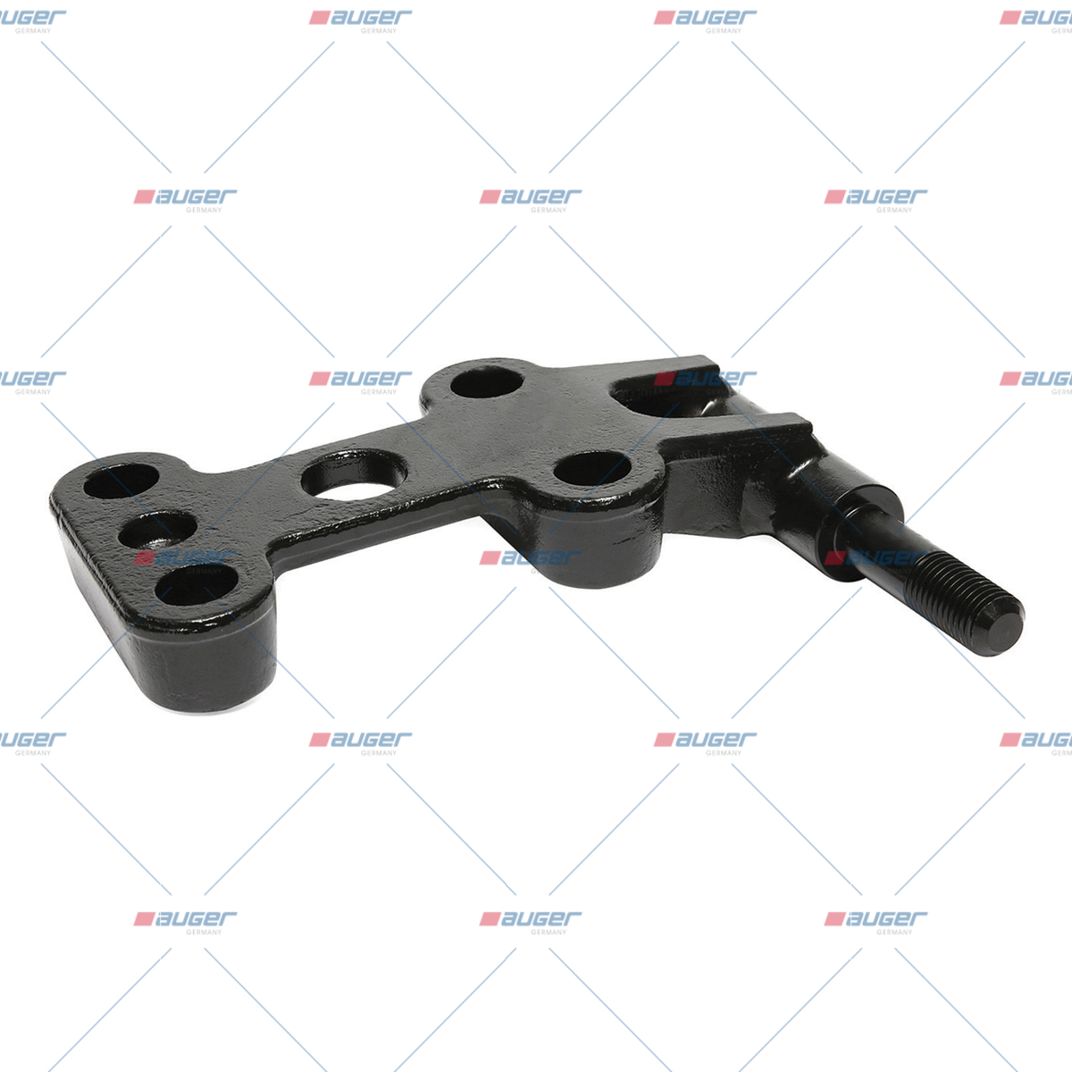 Halter, Feder