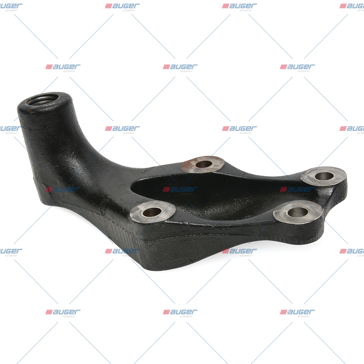 Halter, Feder