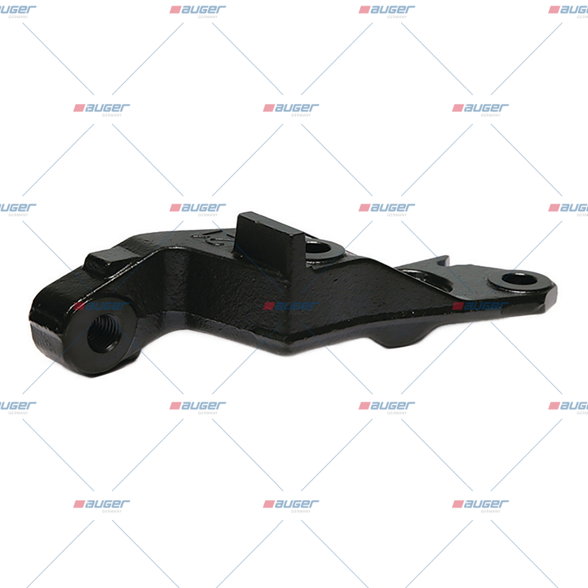 Halter, Feder