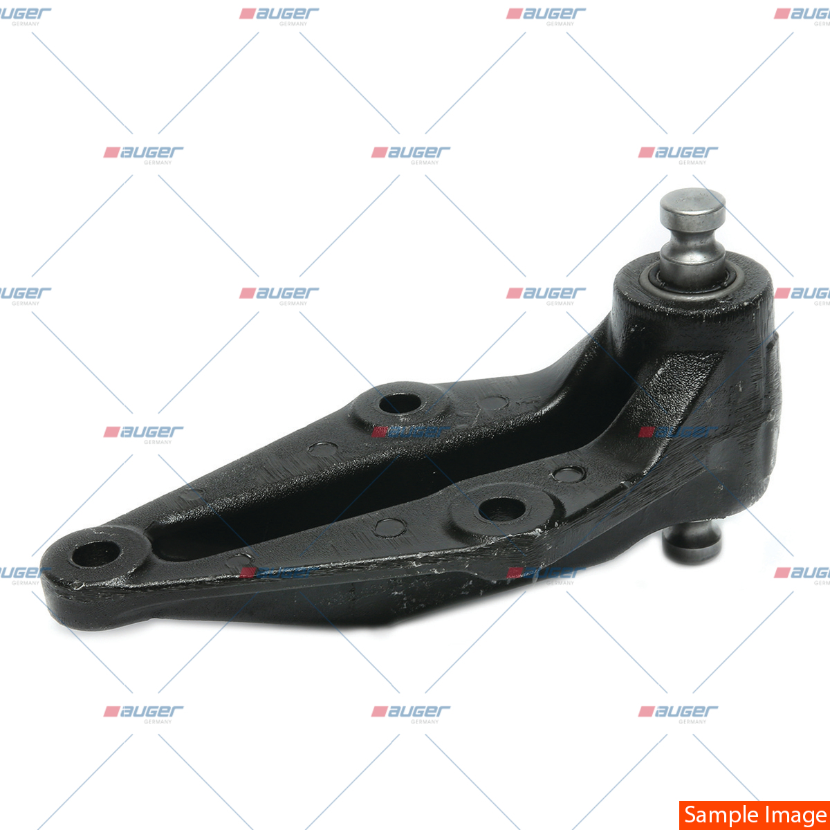 Halter, Feder