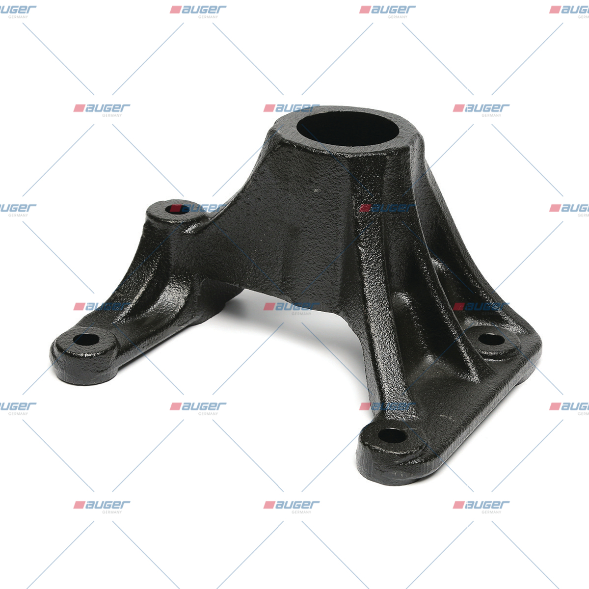 Halter, Feder