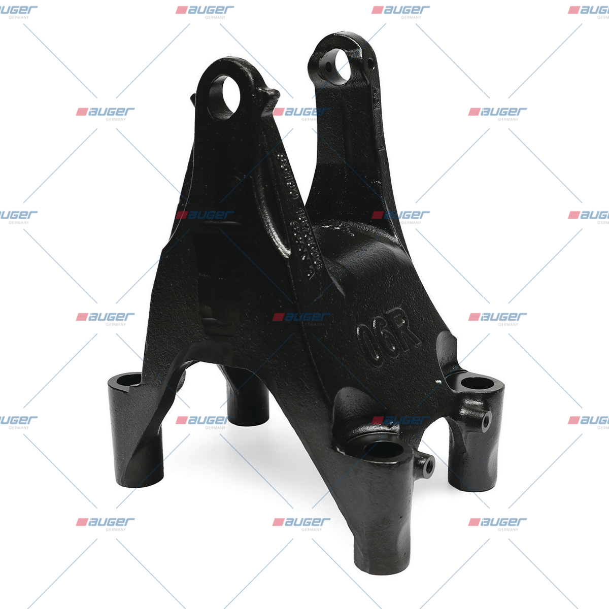 Halter, Feder
