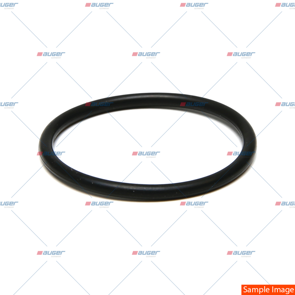 O-Ring
