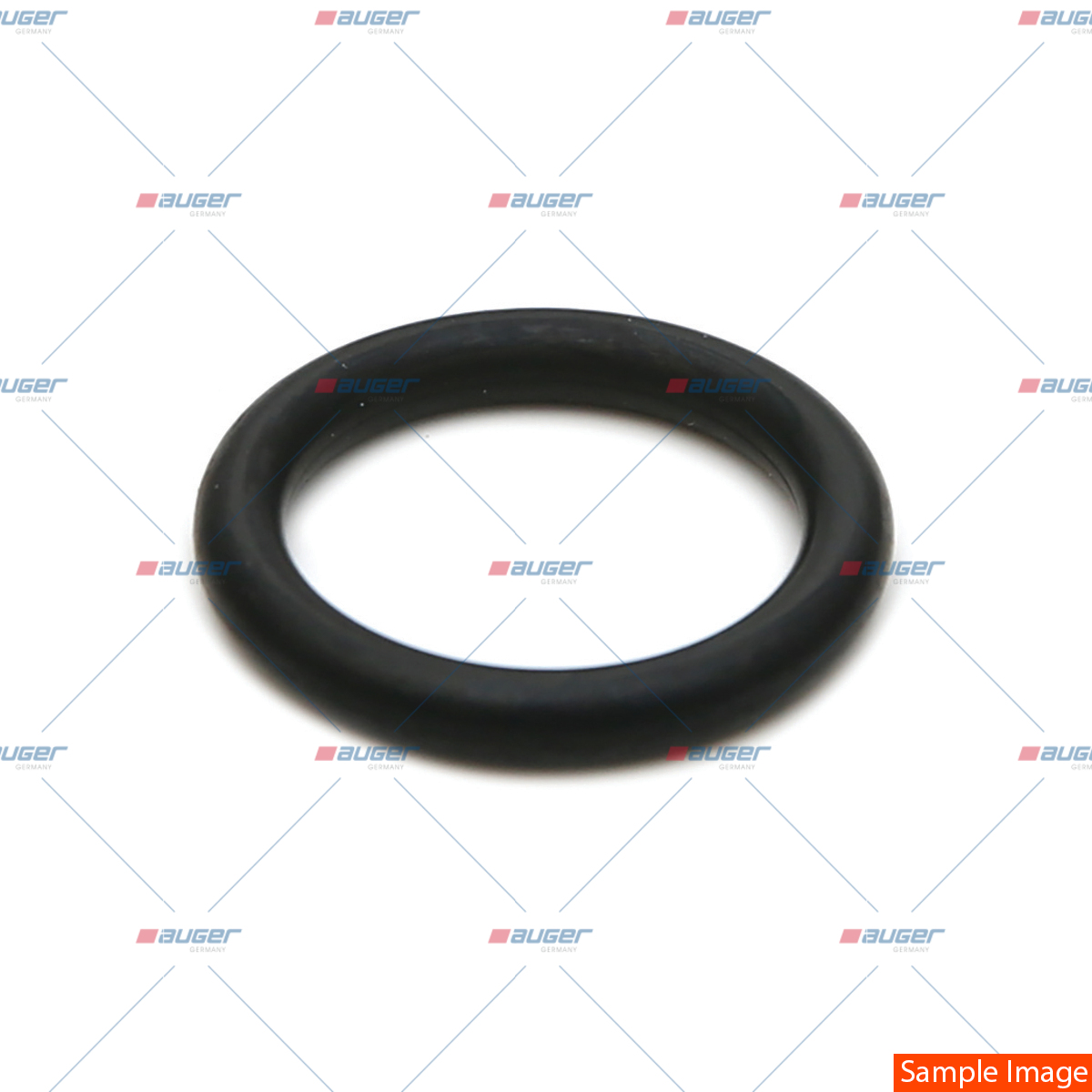 O-Ring