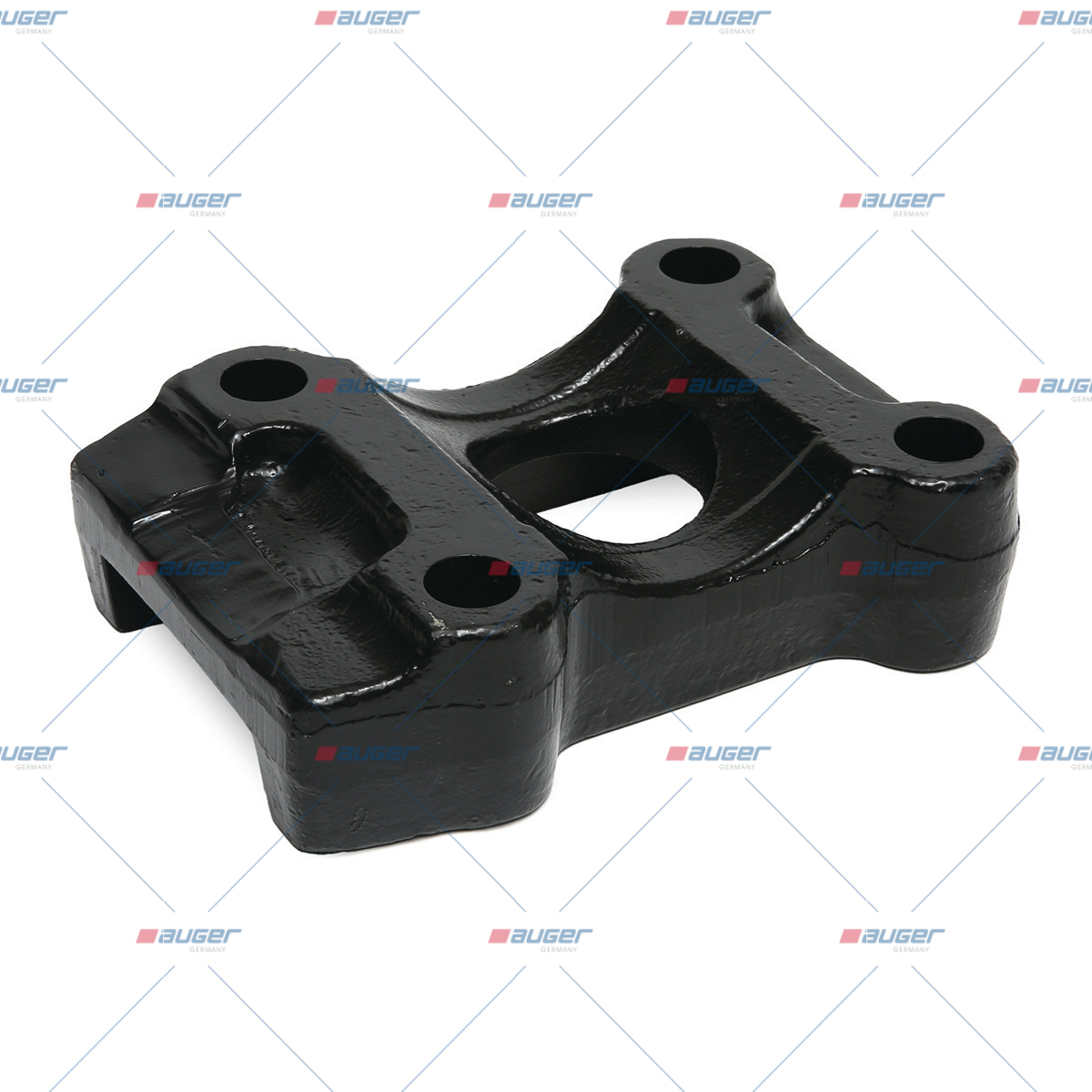 Halter, Feder